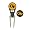 Georgia Tech Yellow Jackets
