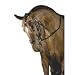 Sports : 4419 Chambon