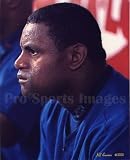 Sammy Sosa Chicago Cubs 8x10 Photo