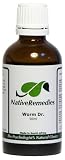 Native Remedies Worm Dr. to Eradicate Intestinal Worms (50ml)