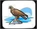 Mouse Pad with aquila, prey, bird, hawk, of, golden, eagle, genus, chrysaetos, birds
