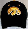 Iowa Hawkeyes Black One-Fit Hat