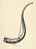 1882 Woodcut Bronze Age Horn Archaeological Tool Trumpet Instrument Musical - Original Woodcut