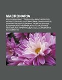 Macronaria: Brachiosauridae, Titanosauria, Brachiosaurus, Antarctosaurus, Sauroposeidon, Camarasaurus, Giraffatitan, Rapetosaurus (Spanish Edition)