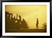 A Biologist Watches for Desert Tortoises as Bulldozers Roll Nearby Collections Framed Photographic Poster Print by Joel Sartore, 45x33