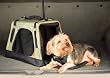 Kurgo Wander Carrier Dog Pet Travel Tote