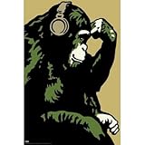 Steez (Monkey Thinker) Art Poster Print