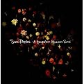A Hundred Million Suns [Explicit Lyrics] (Lyrics included with album)