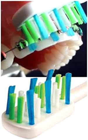 Easy Braces Orthodontic Toothbrush (Set Of 2) (Purple)