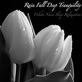 White Noise: Acoustic Falls