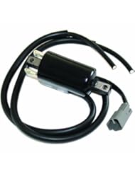 Automotive Parts and Accessories: SKIDOO FORMULA 500 DELUXE 1998 IGNITION COIL DOUBLE LINE - Caltric