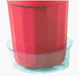 California Plastic #VS8 8 Clear Plant Saucer