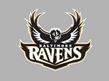 Baltimore Ravens Auto Car Bumper Decal Sticker 6 X 5
