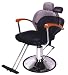 Prettysalonusa.com Styling Chair Salon Furniture Spa Equipment on Sale Pl335