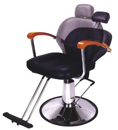 Prettysalonusa.com Styling Chair Salon Furniture Spa Equipment on Sale Pl335