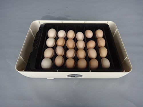 Automatic 24 Egg Digital Mini Incubator For Chicken Poultry Harcher Quail Eggs(ship from USA )