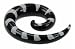 ACRYLIC SPIRAL WITH BLACK AND WHITE PRINT PLUG 8G - Sold As A Pair