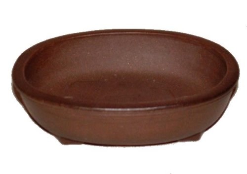 16cm Oval Tokoname Style Shohin Bonsai Pot