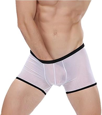 Men's Sexy Mesh Sheer See-through Underwear Sexy Panties Boxers Briefs