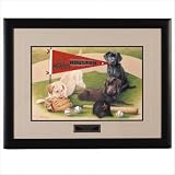 MLB Houston Astros Jim Killen Signature Black Framed Print