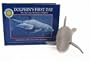 Dolphin's First Day: The Story of a Bottlenose Dolphin (Mini Book and 7" Plush Toy)
