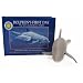 Dolphin's First Day: The Story of a Bottlenose Dolphin (Mini Book and 7" Plush Toy)