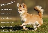 Metall - Warnschild Chihuahua