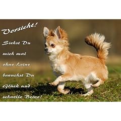 Metall - Warnschild Chihuahua