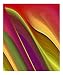 Oomph Three Art Photographic Poster Print by Ruth Palmer, 20x24