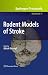 Rodent
Models
of
Stroke:
47
(Neuromethods)