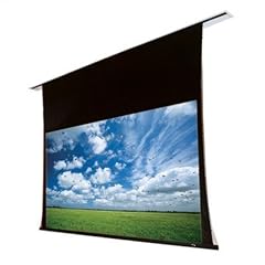 Access/Series V Motorized Projection Screen - 48x80" - 93" Diagonal 