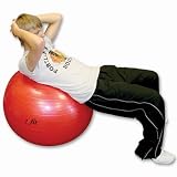 SSG / BSN 85cm Pro Exercise Ball w/ Pump(Price/Each)