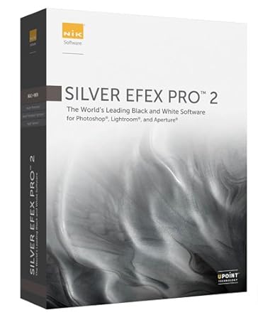 Silver Efex Pro 2