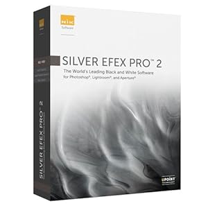 Silver Efex Pro 2 64 Bit Edition - The Power of Black and White (PC/Mac)