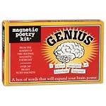 Genius Magnetic Poetry Word Magnets