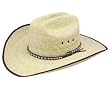 Resistol "Brush Hog B" Palm Leaf Cowboy Hat