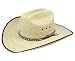 Resistol "Brush Hog B" Palm Leaf Cowboy Hat