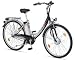 ALU-REX | E-Bike Elektrofahrrad 28" (71 cm)