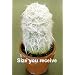 White Wooley Beard Old Man Cactus - 3" Clay Pot - Easy