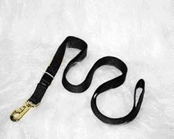 Hamilton Deluxe 7' x 1" Nylon Lead Shank, Black