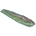 3B Scientific VN719 Viviparous Lizard (Lacerta vivpara)