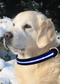 LED Halsband Hundehalsband Leuchthalsband für Hunde in der Farbe blau Größe L (42-64 cm) NEU von der Marke PRECORN