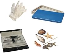 STUDENT DISSECTION KIT