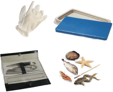 image Information  STUDENT DISSECTION KIT