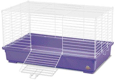 Case of 3-My First Home for Small Animals - Large 