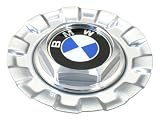 OES Genuine Hub Cap
