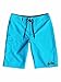 Quiksilver Big Boys' Everyday 21 Board Short Gray
