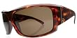 Hoy Tortoise Shell/Bronze Electric Sunglasses
