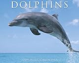 Dolphins 2009 Calendar