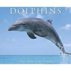 Dolphins Wall Calendar